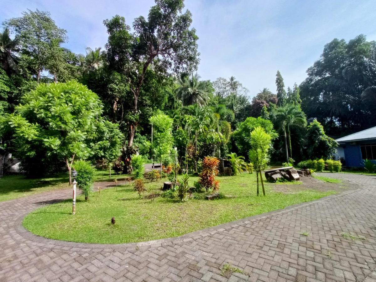 Herberg Tangkoko *
